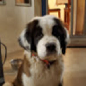 Meet your Posher, Shauna